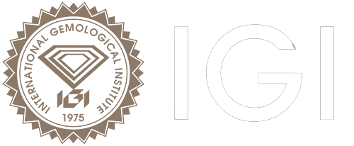 brand-logo5