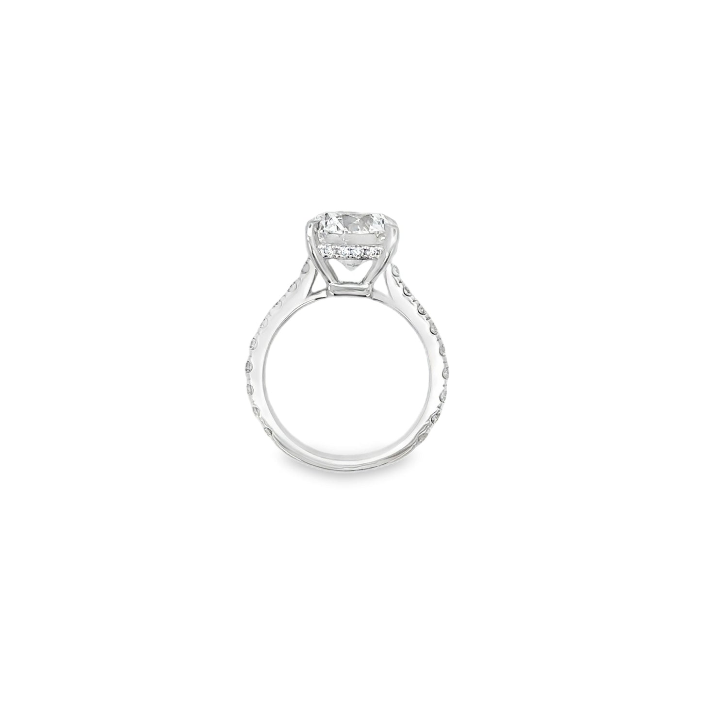 14K WG RD DIA ENG RING WITH DIA BAND