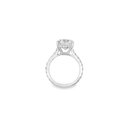 14K WG RD DIA ENG RING WITH DIA BAND