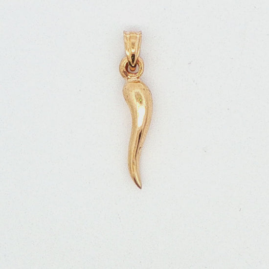 Italian Horn Pendant