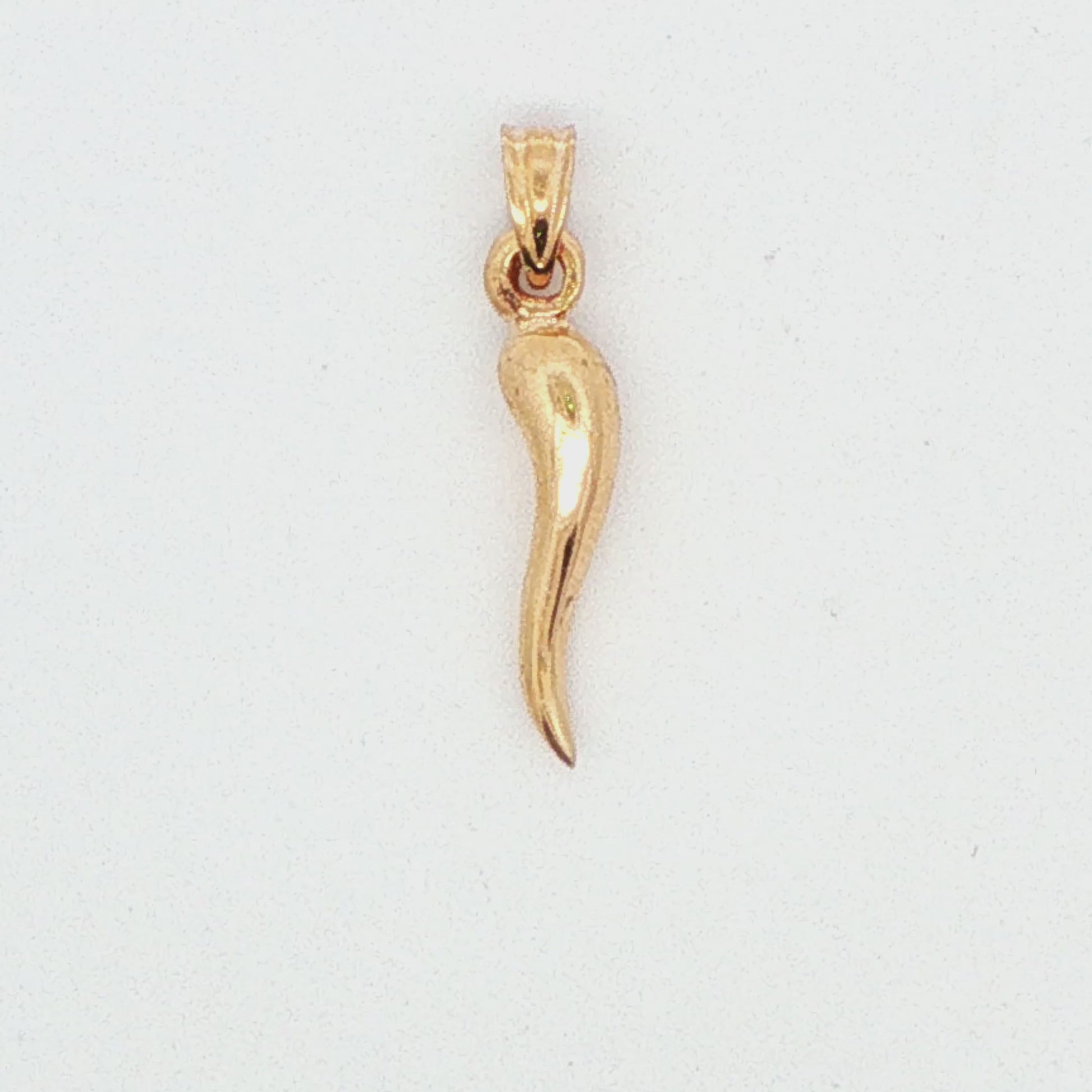 Italian Horn Pendant