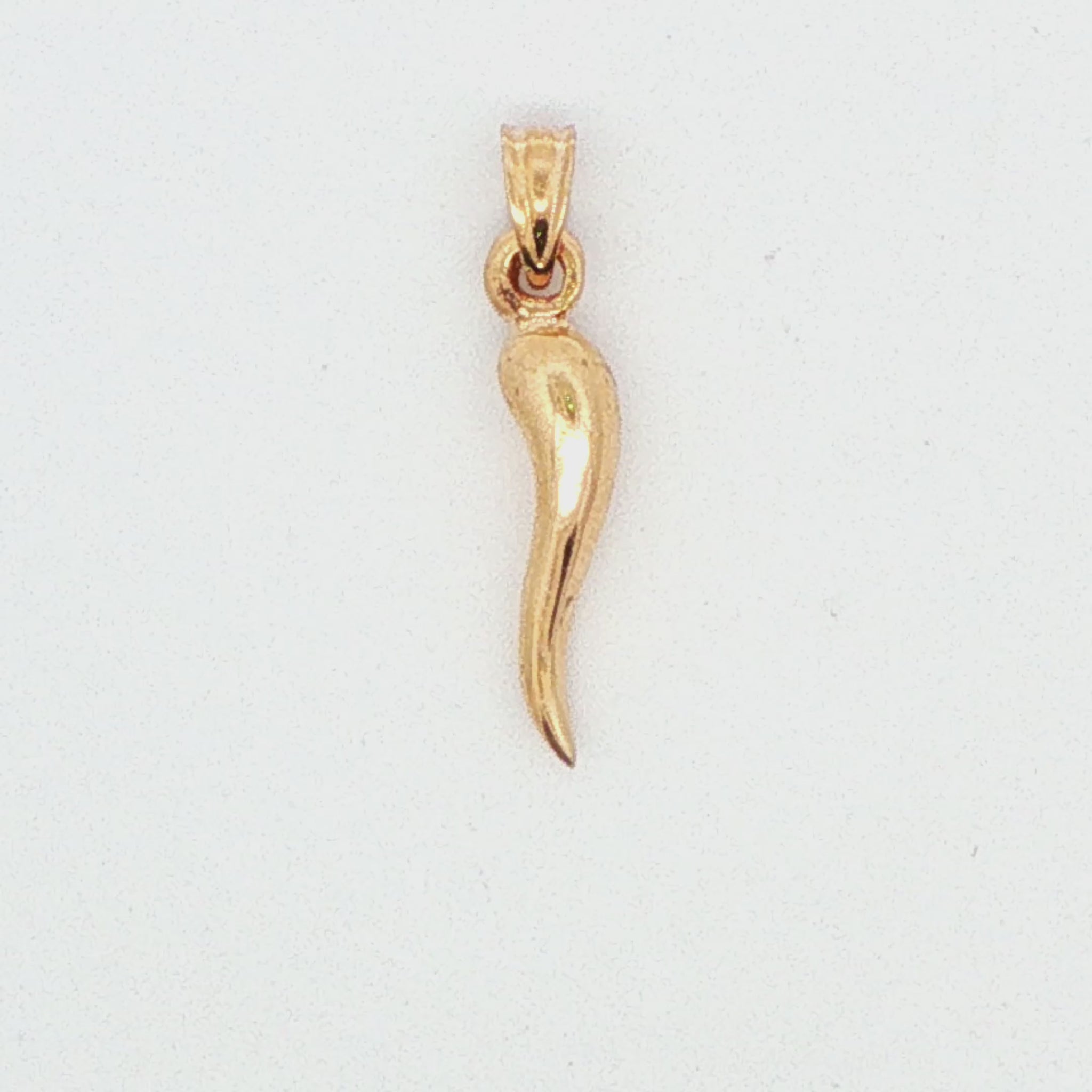 Italian Horn Pendant