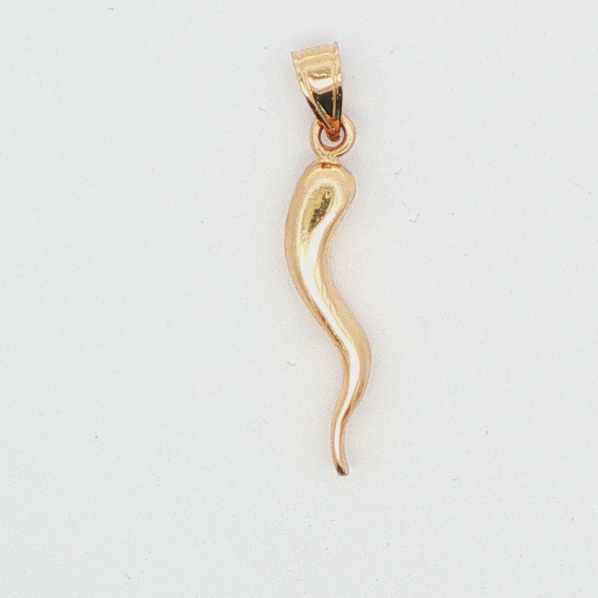 Italian Horn Pendant