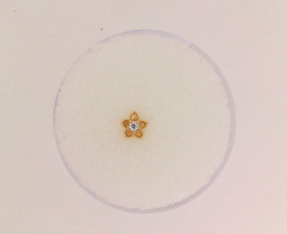 14K Yellow Gold Blossom with CZ